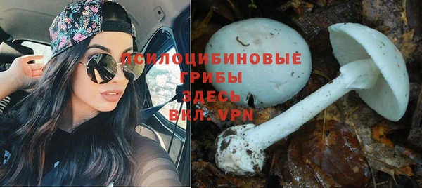 MDMA Premium VHQ Кукмор