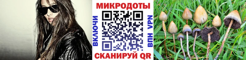 Псилоцибиновые грибы GOLDEN TEACHER  mega как войти  Лукоянов 